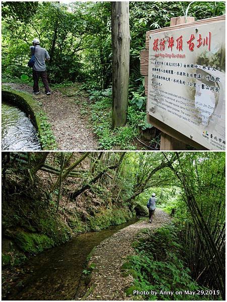 坪頂古圳步道2