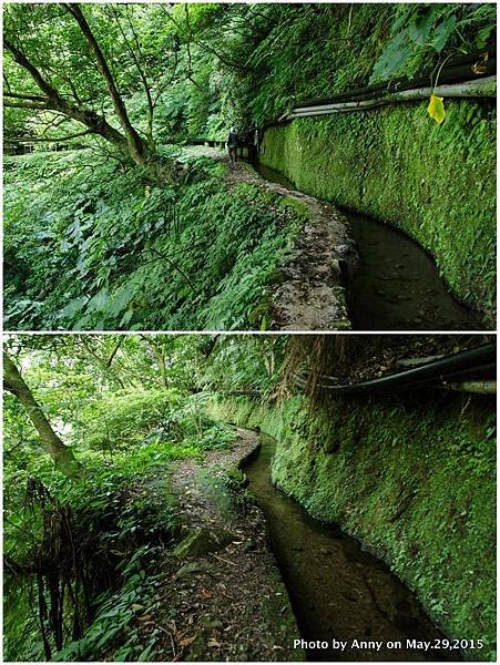 坪頂古圳步道3