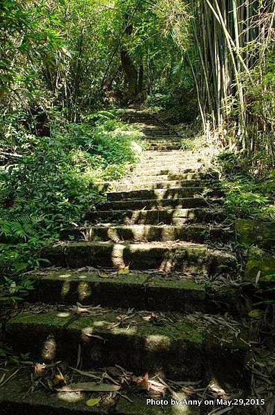 坪頂古圳步道30