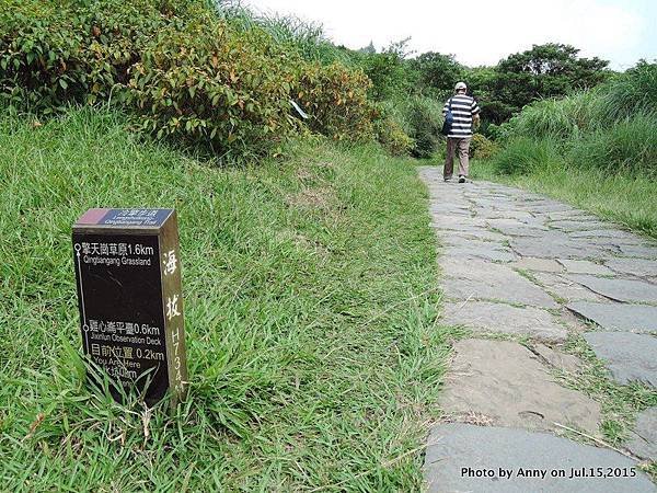 擎天崗系步道 冷擎步道11.jpg