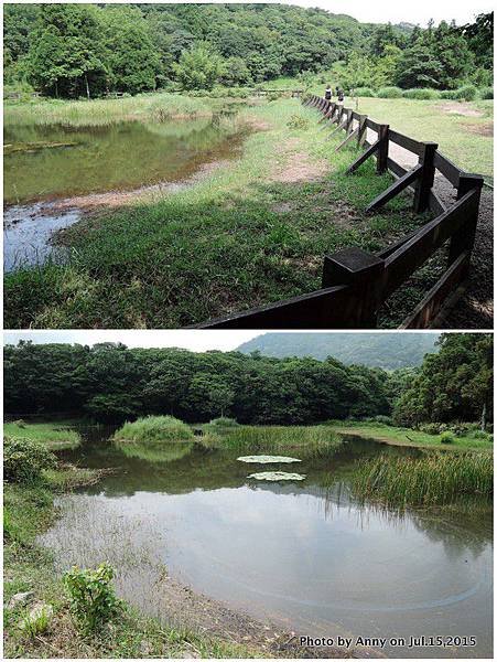 擎天崗系步道 冷擎步道 生態池2.jpg