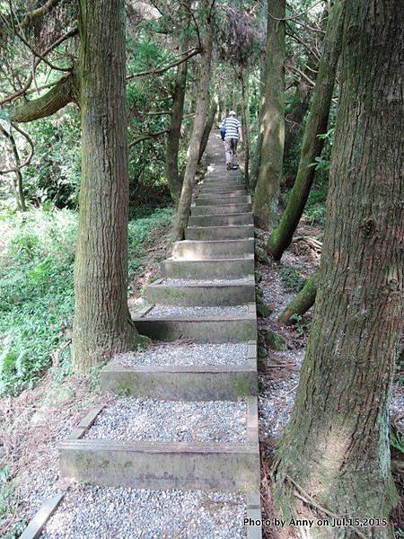 擎天崗系步道 冷擎步道15.jpg