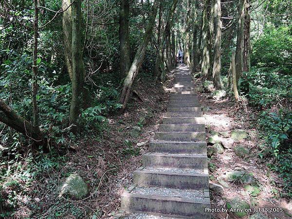 擎天崗系步道 冷擎步道16.jpg