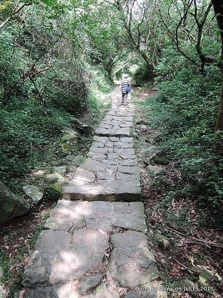 擎天崗系步道 冷擎步道20.jpg