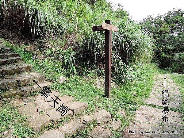 擎天崗系步道 冷擎步道21.jpg