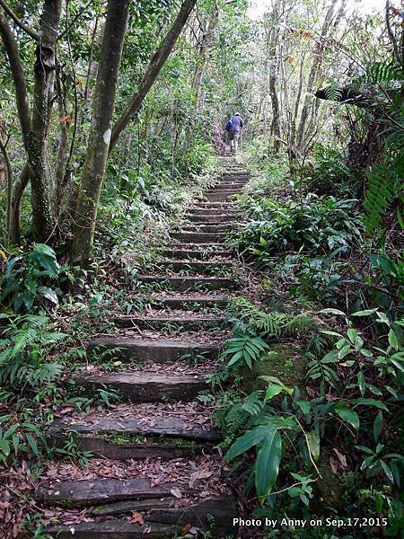 猴山岳步道26.jpg