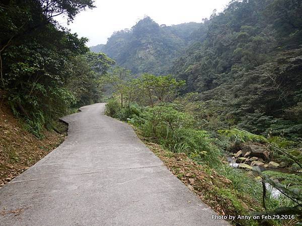 姜子寮絕壁步道5.JPG