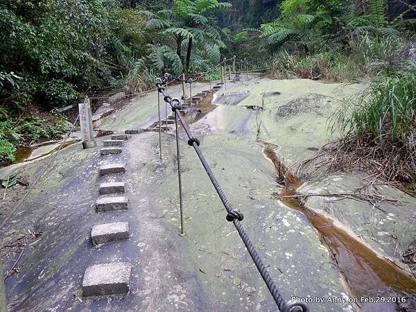 姜子寮絕壁步道17.JPG