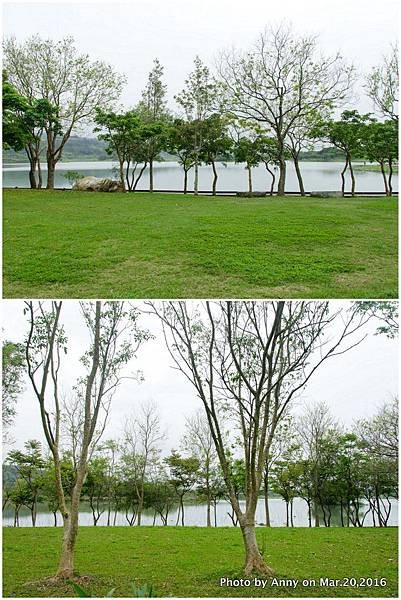 池上伯朗大道2.jpg