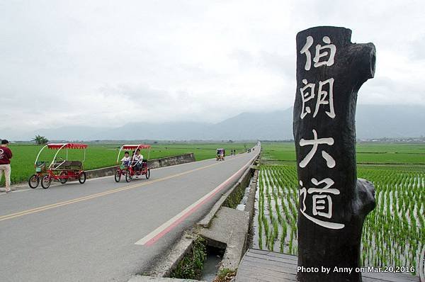池上伯朗大道15.jpg