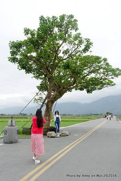 池上伯朗大道22.jpg
