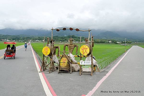 池上伯朗大道25.jpg