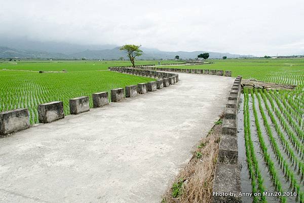 池上伯朗大道24.jpg