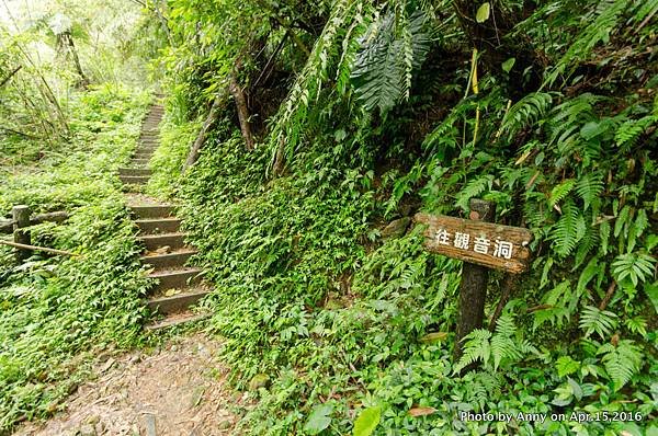 桃園觀音洞步道2.jpg