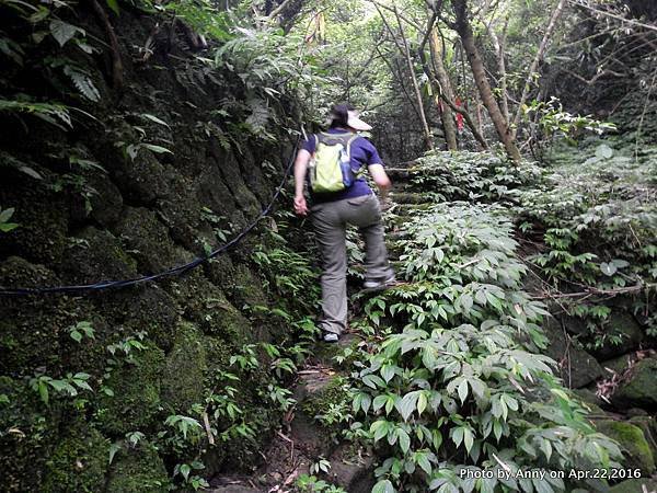 石碇山林迷途記12.JPG