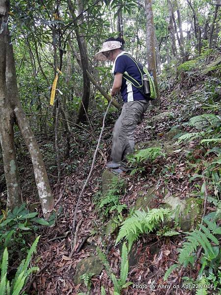 石碇山林迷途記17.JPG