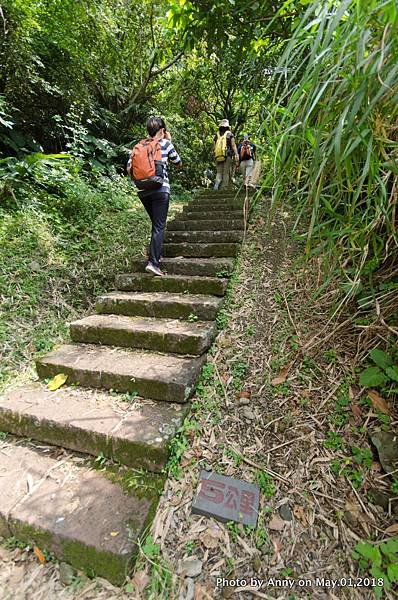 桃源谷（大溪線）步道18