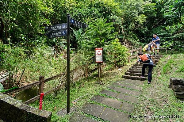 桃源谷（大溪線）步道21