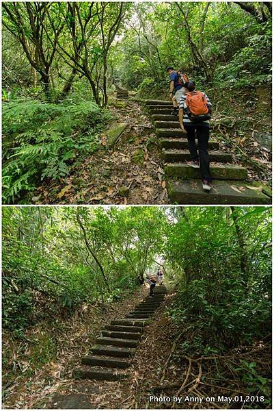 桃源谷（大溪線）步道2