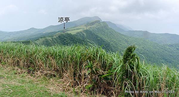 桃源谷（大溪線）步道56