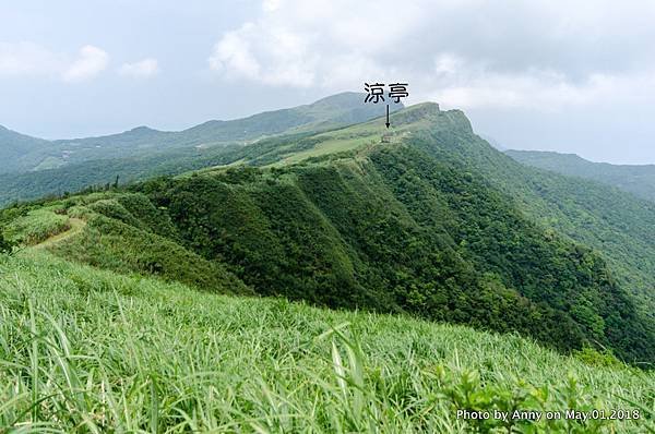 桃源谷（大溪線）步道58