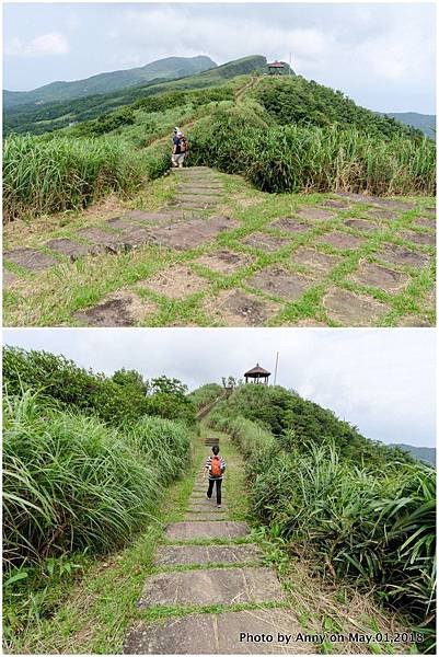 桃源谷（大溪線）步道8