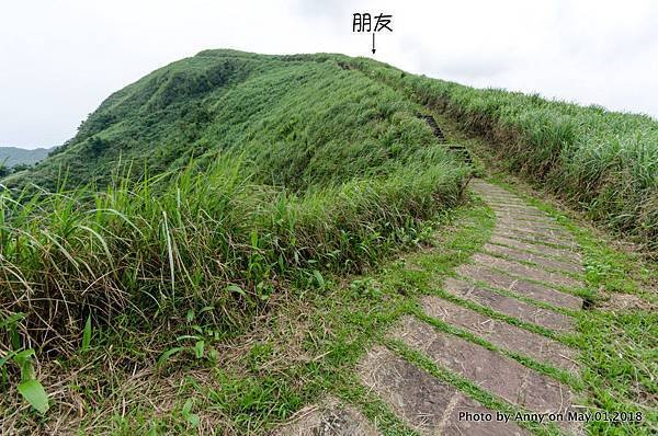 桃源谷（大溪線）步道60