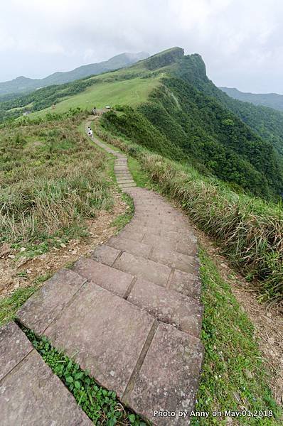 桃源谷（大溪線）步道 單面山