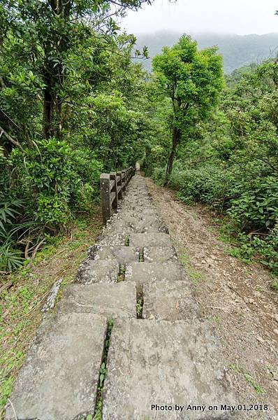 桃源谷（石觀音線）步道81