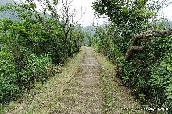 桃源谷（石觀音線）步道85