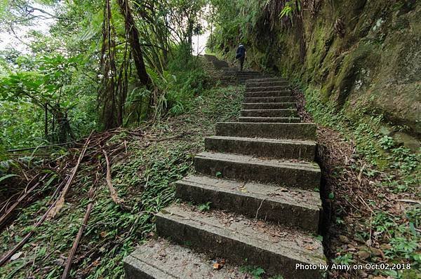 皇帝殿登山步道20.jpg