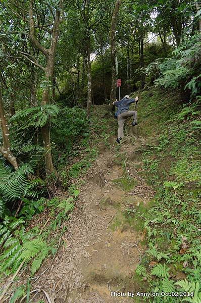 皇帝殿登山步道23.jpg