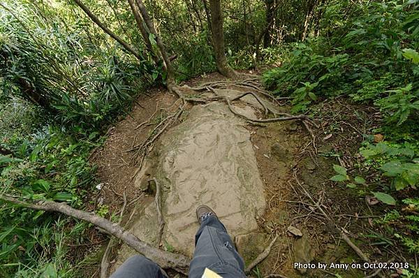 皇帝殿登山步道24.jpg