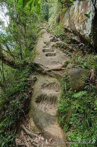 皇帝殿登山步道26.jpg