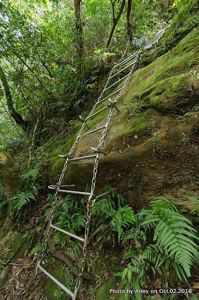 皇帝殿登山步道32.jpg