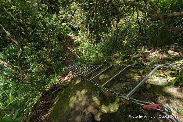 皇帝殿登山步道31.jpg