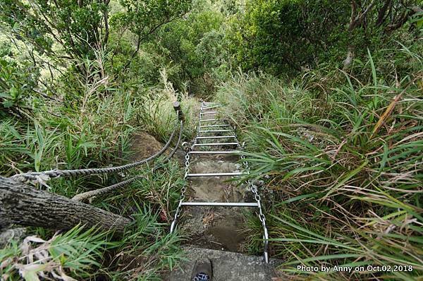 皇帝殿登山步道38.jpg