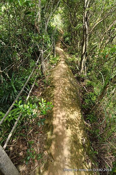 皇帝殿登山步道45.jpg