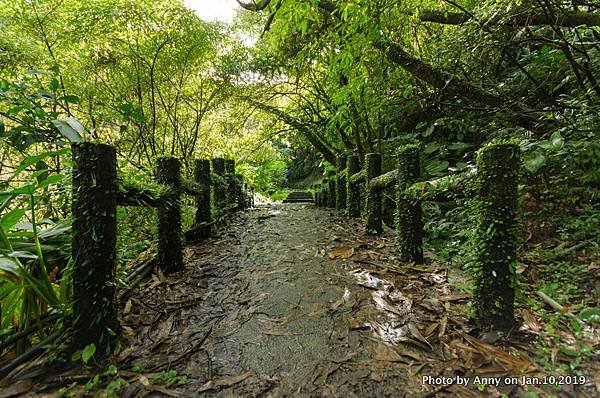 平溪步道（孝子山、慈母峰）11