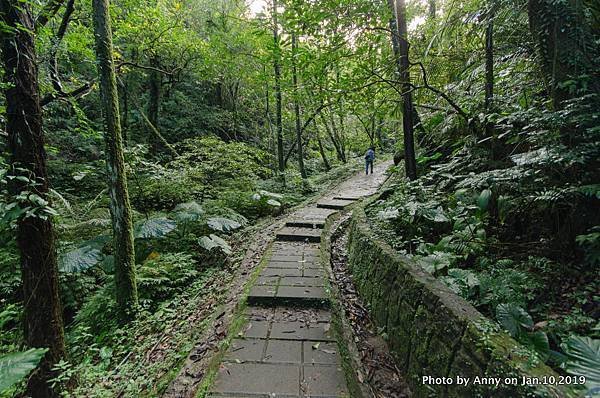 平溪步道（孝子山、慈母峰）13