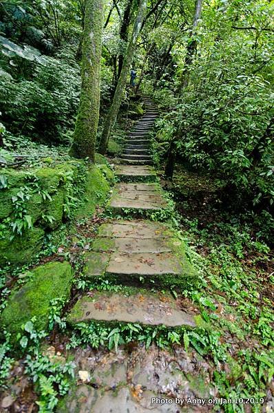 平溪步道（孝子山、慈母峰）17