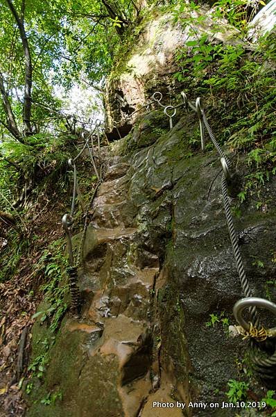 孝子山登山步道28