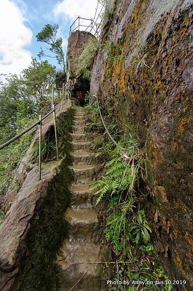 孝子山登山步道31