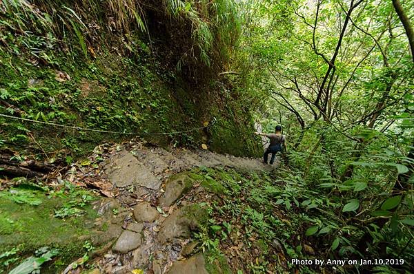 孝子山登山步道45