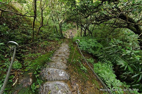 孝子山登山步道46