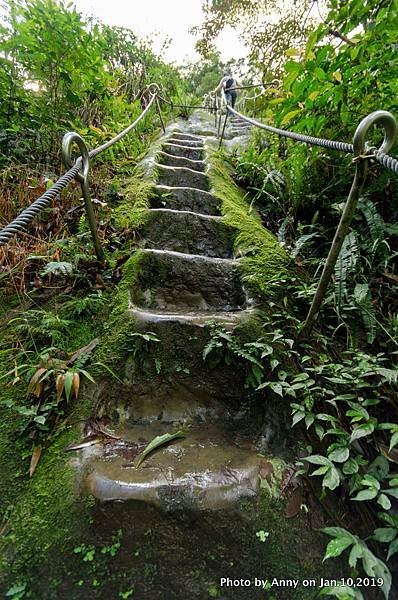 慈母峰登山步道49