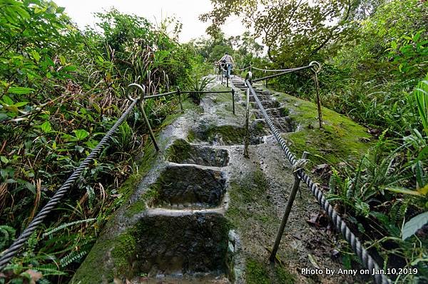 慈母峰登山步道50