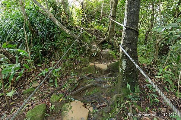 慈母峰登山步道53