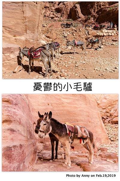 Petra 佩特拉6