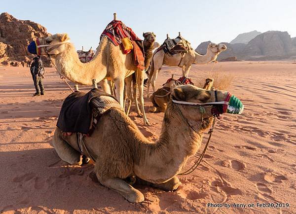 Wadi Rum  瓦地倫41.jpg